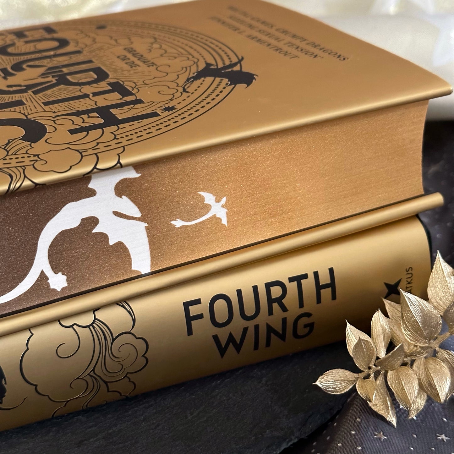 Pre-order Fourth Wing Sprayed Edges - inverted