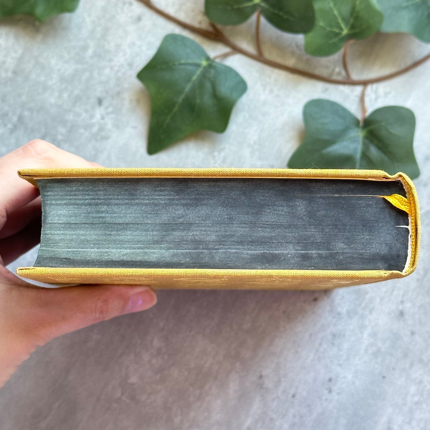 Pre-Order Pride and Prejudice - Fore-edge Painting