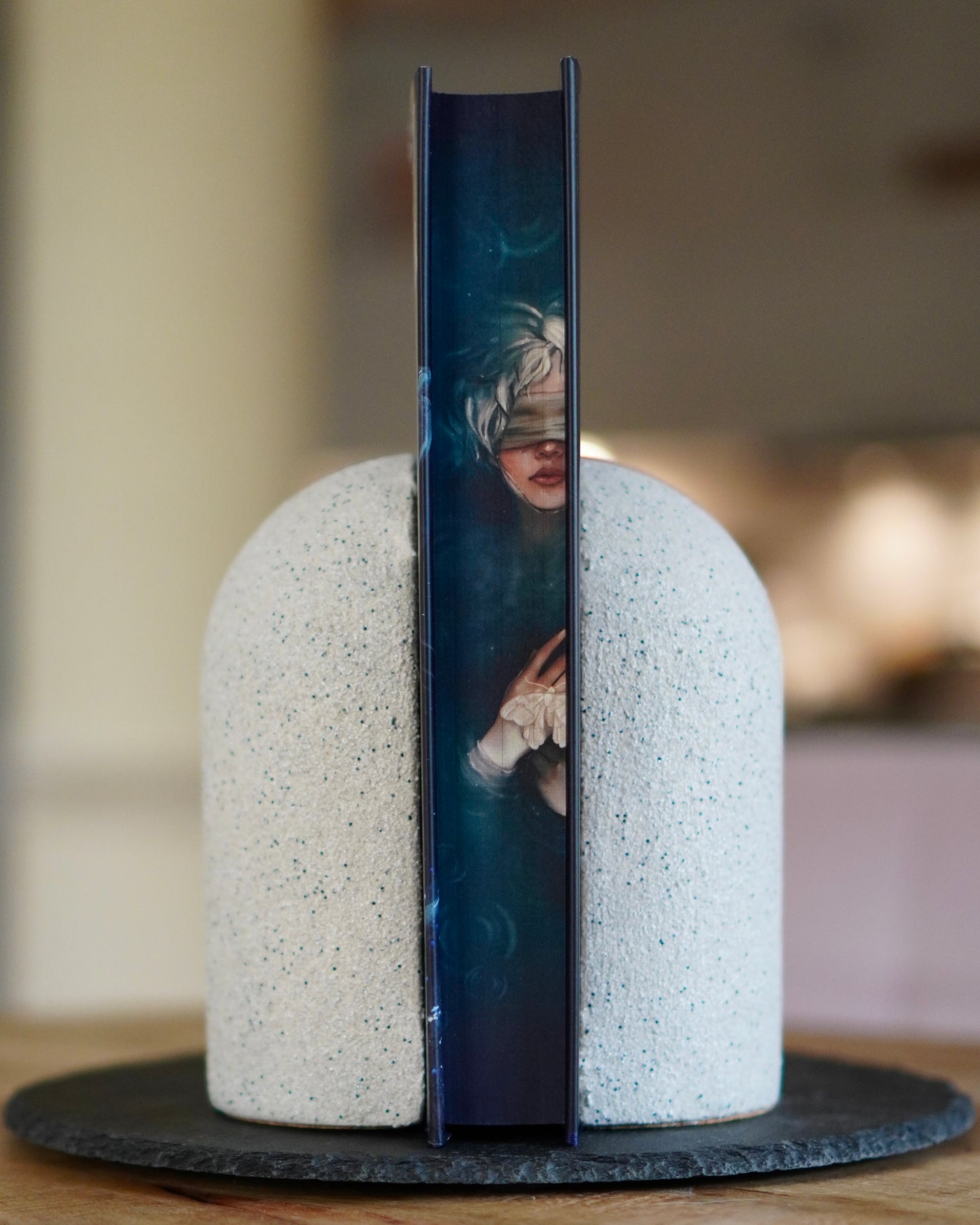 Pre-order Book - the Knight and the Moth