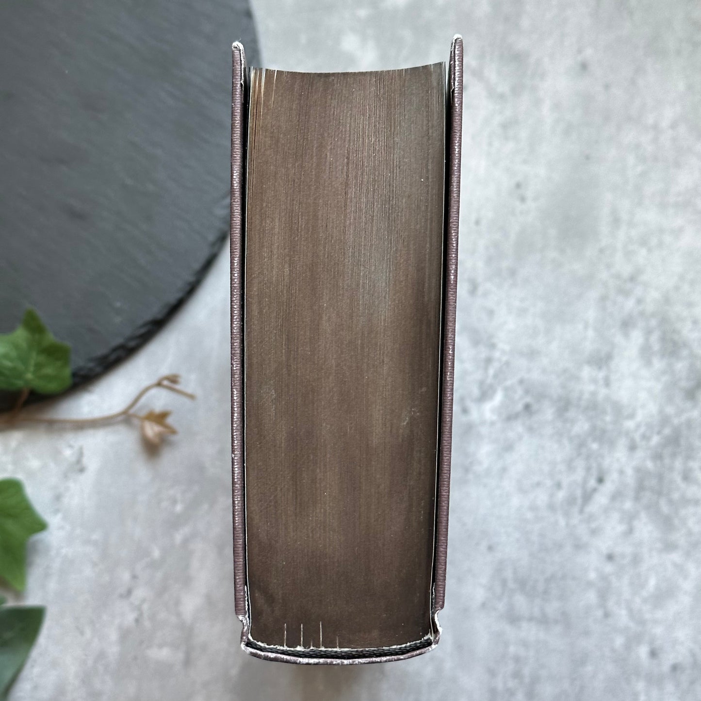 The Name of the Wind - Fore-edge Painting